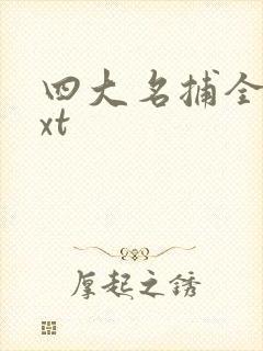 四大名捕全集txt