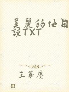 美丽的他日剧小说TXT