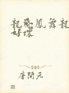 龙飞凤舞龙王你好坏