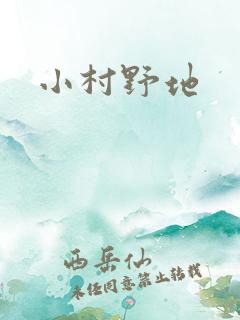 小村野地