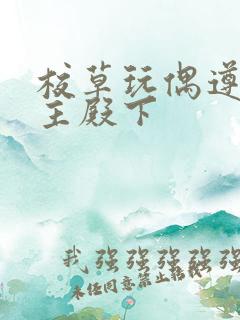 校草玩偶遵命公主殿下