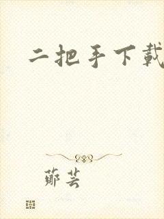 二把手下载