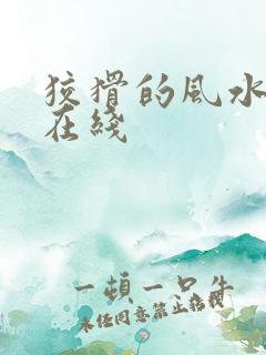 狡猾的风水相师在线