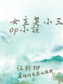 女主是小三的pop小说
