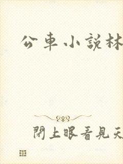 公车小说林蔓蔓