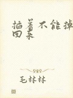 插着不能掉等我回来