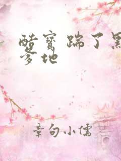 酷宝 踹了黑道爹地