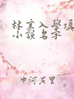 林寒入学填未婚小说名字