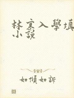 林寒入学填未婚小说