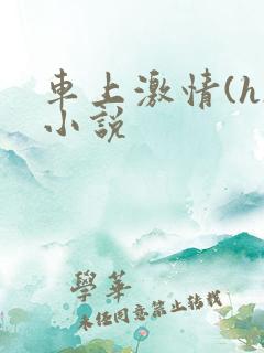 车上激情(h)小说