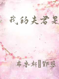 我的夫君是冥王