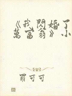 《我闪婚了个亿万富翁》小说