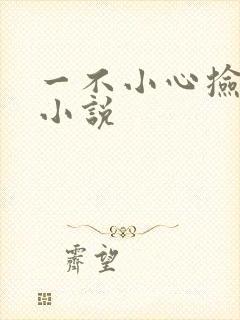 一不小心捡到爱小说