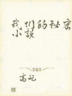 我们的秘密泰剧小说
