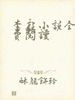 李毅小说全文免费阅读