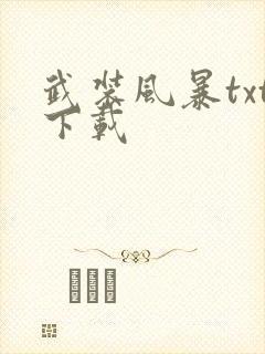 武装风暴txt下载