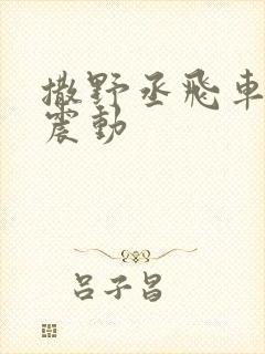 撒野丞飞车道具震动