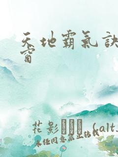 天地霸气诀无弹窗