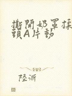 撕开奶罩揉吮奶头A片动