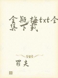 金瓶梅txt全集下载