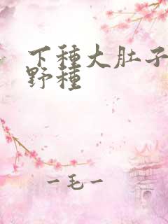 下种大肚子怀孕野种