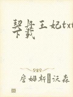 契丹王妃txt下载