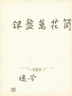 银盘万花筒小说