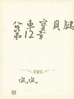 公车宝贝腿开点第12章