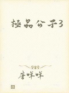 极品公子3
