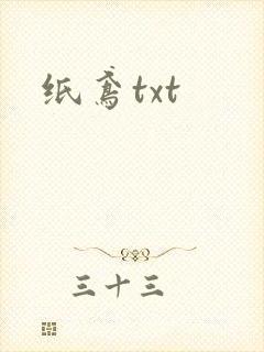 纸鸢txt