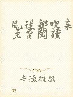 风从那吹来小说免费阅读