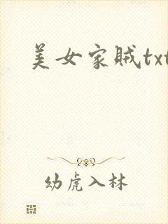 美女家贼txt
