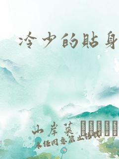 冷少的贴身女人