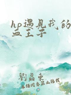 hp遇见我的混血王子