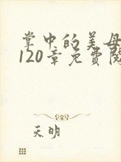 掌中的美母版主120章免费阅读