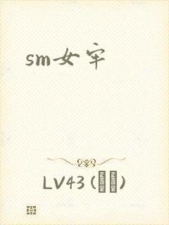 sm女牢