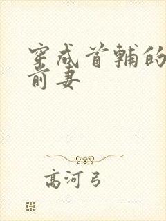 穿成首辅的炮灰前妻