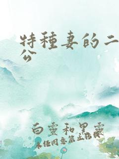 特种妻的二手老公