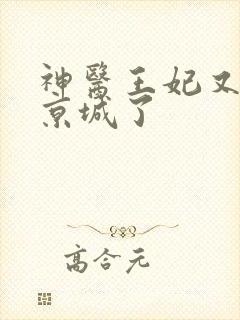 神医王妃又轰动京城了