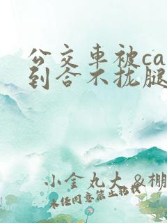 公交车被cao到合不拢腿app