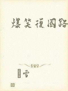 爆笑复国路