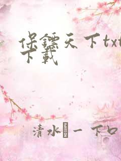 保镖天下txt下载