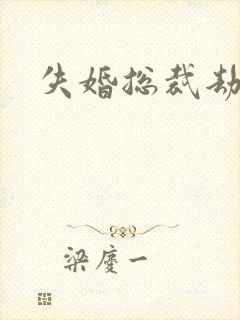 失婚总裁劫前妻