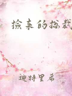 捡来的总裁儿子