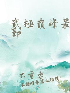 武极巅峰最新章节