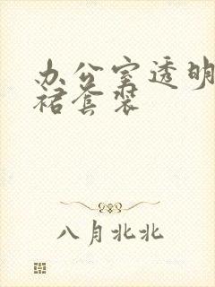 办公室透明半身裙套装