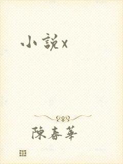 小说x
