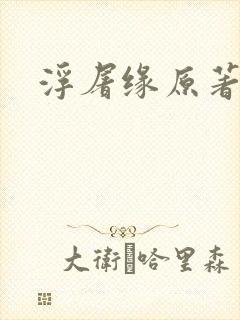 浮屠缘原著小说