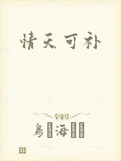 情天可补