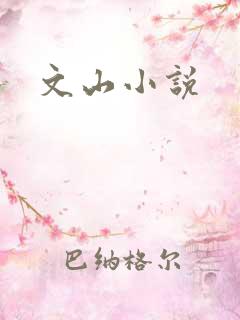 文山小说
